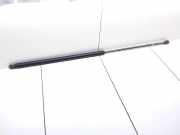 Heckklappe Gasdruckfeder links FORD TRANSIT Furgon (FA_ _) 2.0 DI (FAE_, FAF_, FAG_)