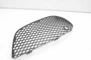 Gitter vorne unten MERCEDES-BENZ C Coupe (C205) C 220 d (205.304) A2058852623