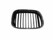Vorderer oberer Gitter BMW 5 Touring (E39) 530 d 8159314