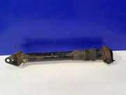 Stoßdämpfer hinten links MERCEDES-BENZ R (W251, V251) R 350 CDI 4-matic (251.023, 251.123) E4-SR4-Z017A00