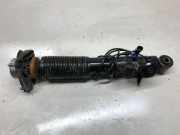 Stoßdämpfer hinten links BMW X5 (F15, F85) xDrive 40 d 10541310
