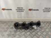 Auspuffkrümmer Renault Espace IV (K) 072011
