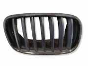 Vorderer oberer Gitter BMW X5 (E70) 3.0 d 51137171396