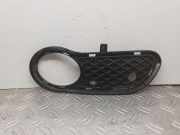 Kühlergrill unten Mercedes-Benz C-Klasse (W203) A2038850923