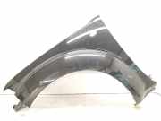 Kotflügel links vorne Nissan Pathfinder III (R51)