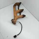 Auspuffkrümmer Jeep Grand Cherokee II (WJ, WG) 53010195