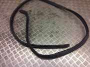 Türgummi links vorne Ford EcoSport ()