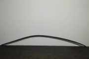 Dachleiste links MERCEDES-BENZ CLC (CL203) CLC 220 CDI (203.708)