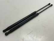 Heckklappendämpfer links BMW 1er (F21)