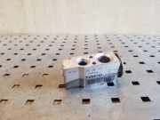 Expansionsventil für Klimaanlage Seat Toledo III (5P) 1K0820679