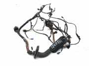 Kabel Tür BMW X5 (E70) 6925548