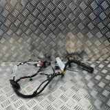 Kabel der vorderen linken Tür VW MULTIVAN T7 (STM, STN) 1.4 eHybrid 7T2971121F TAB016790P