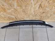 Gitter vorne unten BMW 1 (E87) 120 d 15757711 51117182367