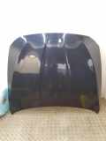 Motorhaube BMW 5 (F10) 530 d