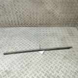 Fensterleiste Tür vorne links MERCEDES-BENZ S (W140) S 350 Turbo-D (140.134) A2206900180