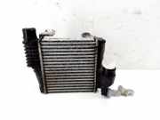 Ladeluftkühler Citroen C4 II Grand Picasso () P9675627980