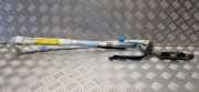 SRS Modul Dach links BMW 3 (E46) 320 d 5128799033003859 8482681656