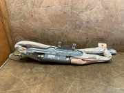 SRS Modul Dach links BMW 5 (F10) 520 d 306450610