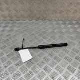 Heckklappe Gasdruckfeder rechts AUDI A5 Cabrio (8F7) S5 quattro 8F0827550A