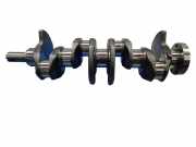 Kurbelwelle NISSAN QASHQAI / QASHQAI +2 I (J10, JJ10) 1.5 dCi K9K282
