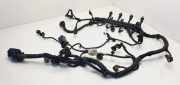 Motor Kabelbaum OPEL CORSA D 1.3 CDTI 00552186840