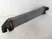 Ladeluftkühler Ford Kuga () 8V619L440AC