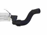 Schlauch Kühlung RENAULT KANGOO Express (FW0/1_) 1.5 dCi 75 217422295R