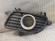 Gitter Grill vorne links MERCEDES-BENZ A (W169) A 180 CDI (169.007, 169.307) 1698850722