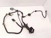 Türverkabelung hinten rechts CITROËN C3 I (FC_) 1.6 16V HDi 9689005080