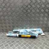 Airbag Dach links Ford EcoSport () CN15A042D95AC