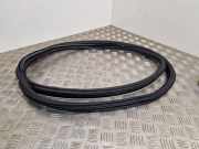 Türgummi rechts hinten Renault Espace V (JR)