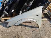 Kotflügel vorne links SUBARU OUTBACK (BL, BP) 2.5 AWD (BP9)