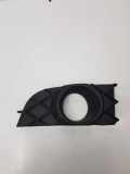 Gitter vorne unten RENAULT LAGUNA III (BT0/1) 2.0 16V (BT05, BT0F, BT0W) P0015114G