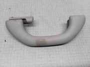 Dachgriff hinten links