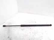 Heckklappe Gasdruckfeder links FIAT 500L (351_, 352_) 1.3 D Multijet 51953757