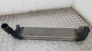 Ladeluftkühler Ford Focus II (DA, DP, HCP) 3M5H9L440AE