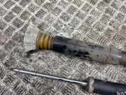 Stoßdämpfer hinten links