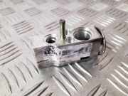 Expansionsventil für Klimaanlage Mercedes-Benz R-Klasse (W251) A1648300084