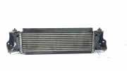 Ladeluftkühler NISSAN NP300 NAVARA Pick-up (D23) 2.3 dCi 4x4 (D231) EH940003