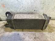 Ladeluftkühler PEUGEOT EXPERT Furgon (VF3A_, VF3U_, VF3X_) 2.0 HDi 165 498987080