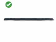 Türverkleidung links vorne Mercedes-Benz R-Klasse (W251) A2519240158