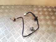 Rücklichtkontakte NISSAN X-TRAIL (T31) 2.0 dCi