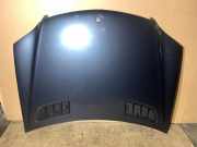 Motorhaube MERCEDES-BENZ M (W164) ML 350 CDI 4-matic (164.122)