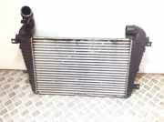 Ladeluftkühler Opel Zafira B (A05) 13223395