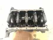 Motorblock FIAT BRAVO II (198_) 1.9 D Multijet