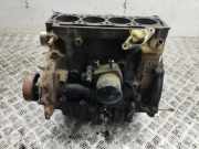 Motorblock Renault Scenic I (JA)