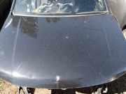 Motorhaube Suzuki Grand Vitara II (JT, TD, TE)