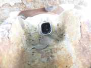 Achsschenkel (ABS) links vorne Mazda 5 (CR1)