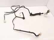 Kabel Tür Nissan Almera Tino (V10) 24126BU801