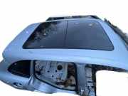 Dach mit Sonnendachausschnitt Porsche Cayenne 2 (92A)
